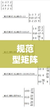 规范型矩阵表达式：规范性矩阵怎么化 