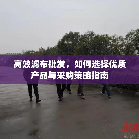 神采奕奕 第2页