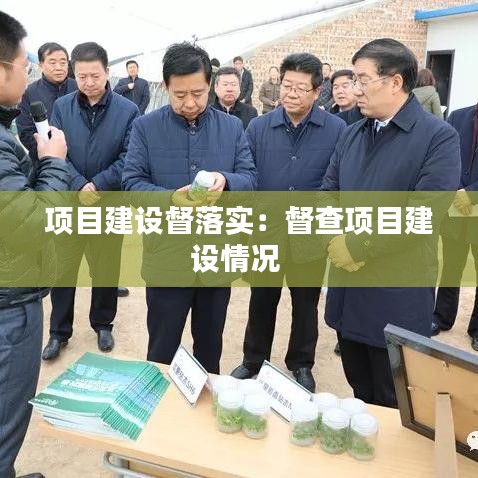 项目建设督落实：督查项目建设情况 