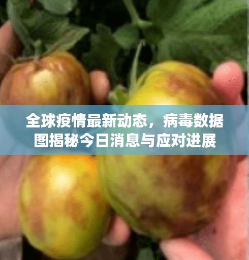 全球疫情最新动态，病毒数据图揭秘今日消息与应对进展