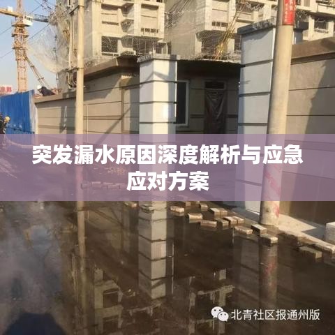 眉开眼笑 第2页