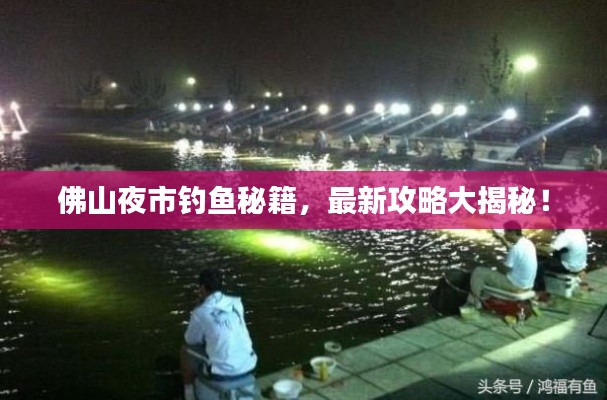 佛山夜市钓鱼秘籍，最新攻略大揭秘！