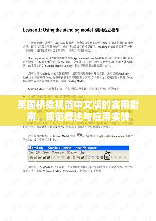 英国桥梁规范中文版的实用指南，规范概述与应用实践