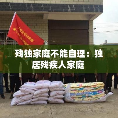 残独家庭不能自理：独居残疾人家庭 