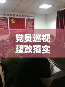 党员巡视整改落实：党组巡视整改落实工作方案 