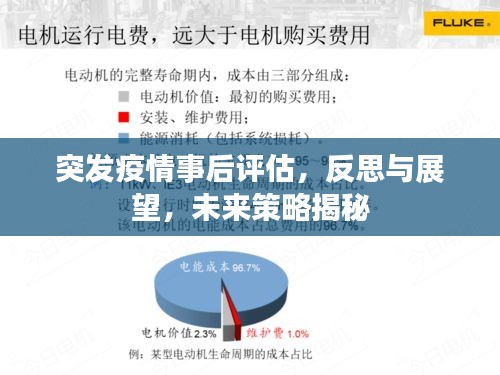 突发疫情事后评估，反思与展望，未来策略揭秘