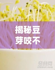 揭秘豆芽咬不断的秘密，背后的奥秘大揭秘！