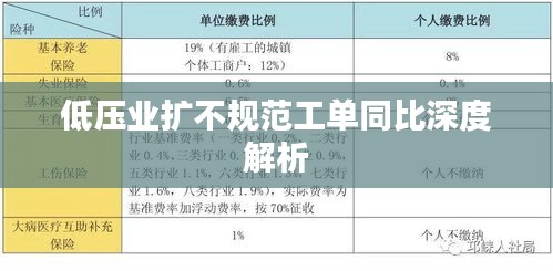 低压业扩不规范工单同比深度解析