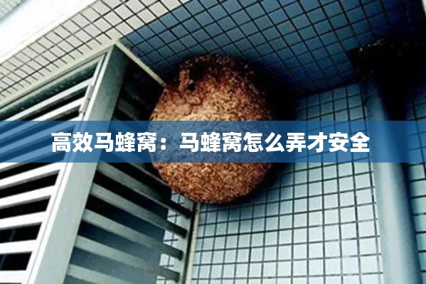 高效马蜂窝：马蜂窝怎么弄才安全 
