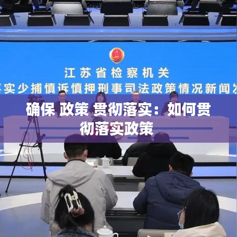 确保 政策 贯彻落实：如何贯彻落实政策 