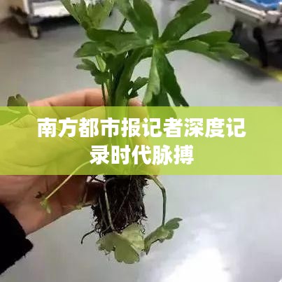 南方都市报记者深度记录时代脉搏
