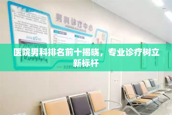 医院男科排名前十揭晓，专业诊疗树立新标杆