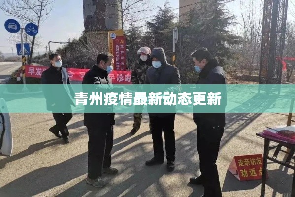 青州疫情最新动态更新