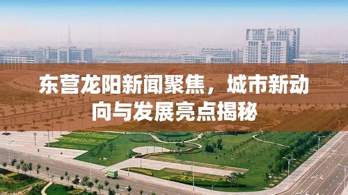 东营龙阳新闻聚焦，城市新动向与发展亮点揭秘