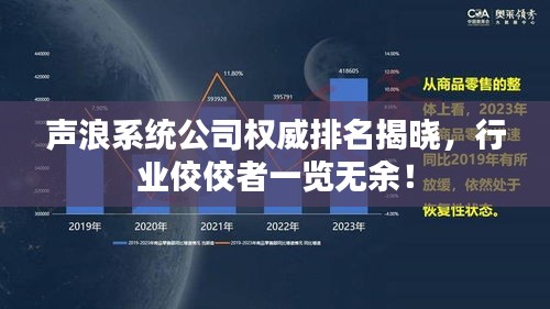 声浪系统公司权威排名揭晓，行业佼佼者一览无余！