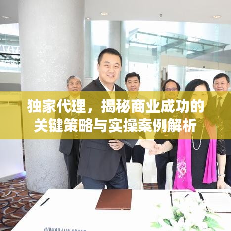 独家代理，揭秘商业成功的关键策略与实操案例解析