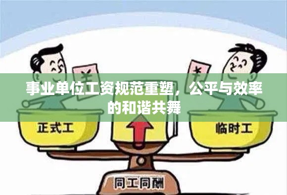 事业单位工资规范重塑，公平与效率的和谐共舞