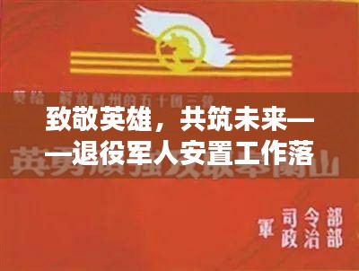 致敬英雄，共筑未来——退役军人安置工作落实进行时