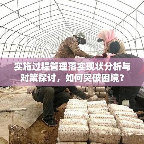 实施过程管理落实现状分析与对策探讨，如何突破困境？