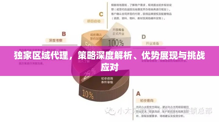 独家区域代理，策略深度解析、优势展现与挑战应对