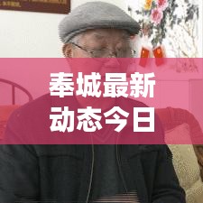 奉城最新动态今日揭秘
