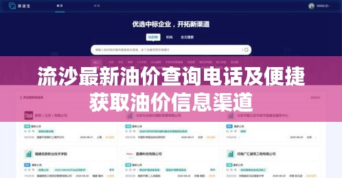 流沙最新油价查询电话及便捷获取油价信息渠道