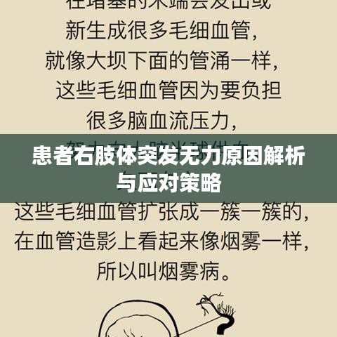 患者右肢体突发无力原因解析与应对策略