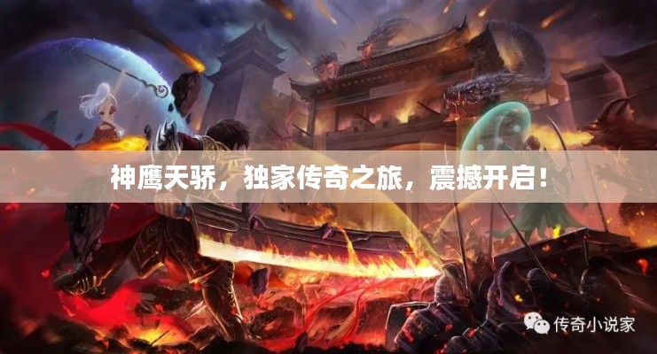 神鹰天骄，独家传奇之旅，震撼开启！