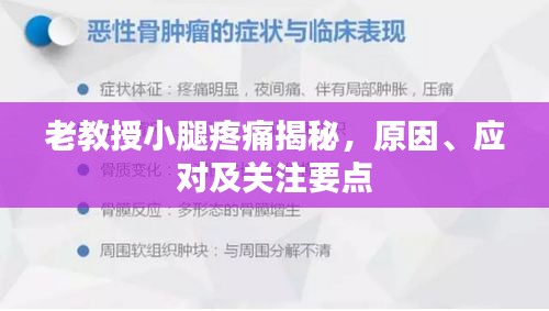 老教授小腿疼痛揭秘，原因、应对及关注要点