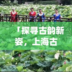 「探寻古韵新姿，上海古藤公园的魅力之旅」