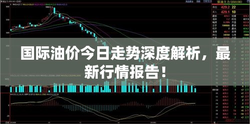 国际油价今日走势深度解析，最新行情报告！