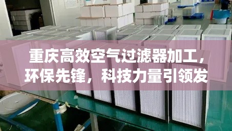 重庆高效空气过滤器加工，环保先锋，科技力量引领发展之路