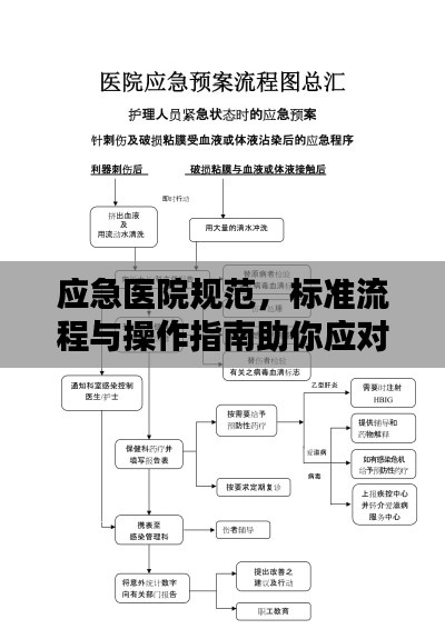 应急医院规范，标准流程与操作指南助你应对突发状况