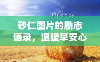 砂仁图片的励志语录，温暖早安心灵寄语