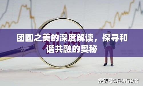 团圆之美的深度解读，探寻和谐共融的奥秘