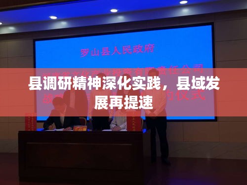 县调研精神深化实践，县域发展再提速