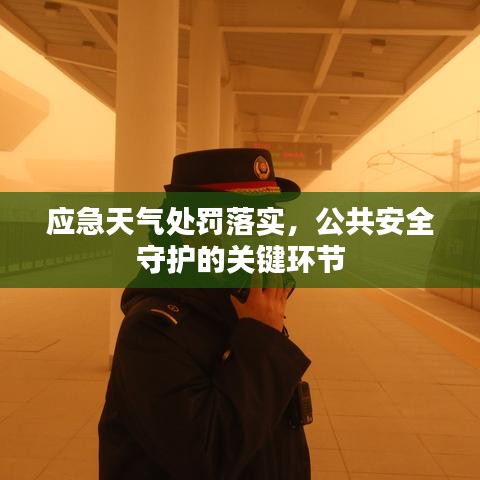 应急天气处罚落实，公共安全守护的关键环节
