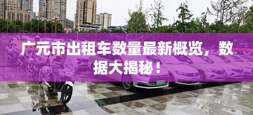 广元市出租车数量最新概览，数据大揭秘！