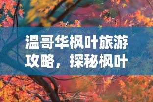 温哥华枫叶旅游攻略，探秘枫叶下的绝美之旅