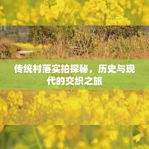 传统村落实拍探秘，历史与现代的交织之旅