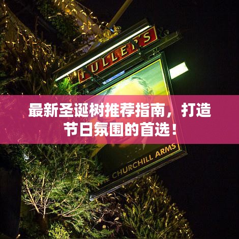 最新圣诞树推荐指南，打造节日氛围的首选！
