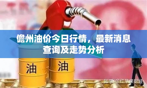 儋州油价今日行情，最新消息查询及走势分析