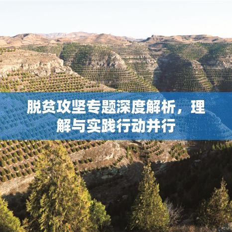脱贫攻坚专题深度解析，理解与实践行动并行