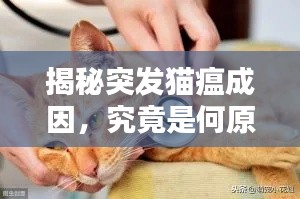 揭秘突发猫瘟成因，究竟是何原因引发？