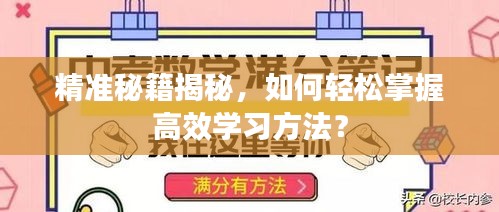 精准秘籍揭秘，如何轻松掌握高效学习方法？