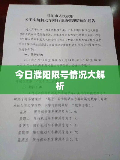 今日濮阳限号情况大解析
