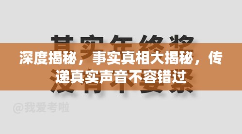 深度揭秘，事实真相大揭秘，传递真实声音不容错过