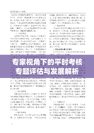 专家视角下的平时考核专题评估与发展解析
