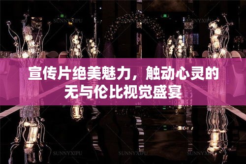 宣传片绝美魅力，触动心灵的无与伦比视觉盛宴