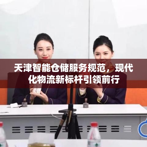 天津智能仓储服务规范，现代化物流新标杆引领前行